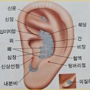 당뇨병과 건강관리 | [부강주민 건강증진 프로그램: 이혈테라피9회차]당뇨병과 치매예방