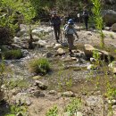 등산로(하) 이미지