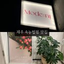 제주속눈썹펌 모드니살롱 블랙틴팅펌 후기