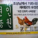 토종닭 이미지