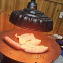 수팬션 | 논산 훈련소에서 5분거리 마중팬션 추천