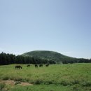 부자목장 이미지