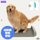 미래기업금융평가원 경기도뉴스