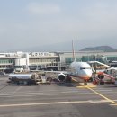 제주공항 이미지