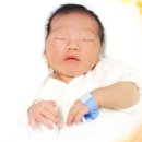 청안농장 이미지