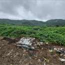 칠갑산 도림온천 이미지