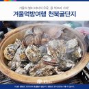 549회 12월 5일 (목) 봉수산 자연휴양림 ( 국내최장 예당호츌렁다리) 08시 출발 이미지