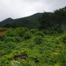 관정2리경로당 이미지