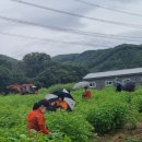 시간속의 추억 이미지