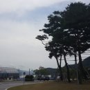 대가연꽃테마공원 이미지