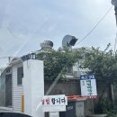 청솔속초삼대메밀국수 | [포항] 흥해 초곡 맛집 청솔속초삼대메밀국수