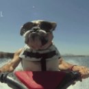 간지나개 이미지