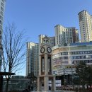 내사랑댕댕이 | [봉사] 한겨울 애니모어 유기견 보호소 봉사활동 후기 - 내사랑 바둑이 두번째 방문🐶🤎