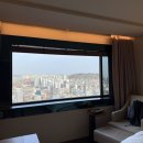 신라체육관 | 서울 신라호텔 호캉스 디럭스 더블 내돈내산 후기 (가격,수영장,어메니티)