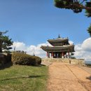 갈대숲소리, 플룻 | [공지] 수원 팔달산의 가을 갈대밭에서 정상뷰까지 가을 감성 충전 후기