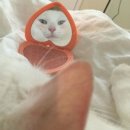 아쿠아타운 이미지