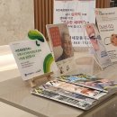 N연세감동치과 네이버블로그