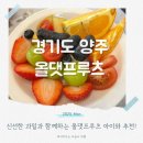올댓프루츠 양주 대형 카페 아이와 가기좋은 곳 추천