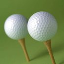 백악관 스크린골프 이미지