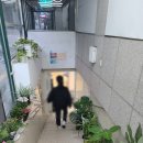 한빛탁구장 네이버블로그