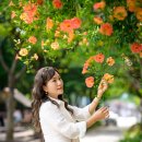 부천-중앙-부천-02 이미지