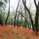 산호동532 이미지