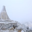 제207차 함백산 눈꽃산행안내 (01/26 일요일) 이미지