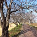 생극파크골프장 이미지