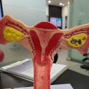 춘천한의원 이미지