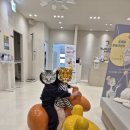 가나다소아청소년과의원 이미지