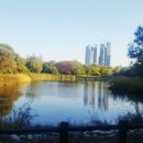 팀 팻보이 이미지