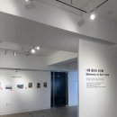 기획전시_새로운 조형주의 | 미술치료사의 전시기획, 다문화가정 결혼이주여성의 자기돌봄 사진 전시 후기