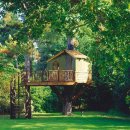 숲속에작은집 이미지