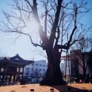 충북대학구내이용원