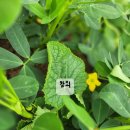 눈비산마을 공동체 농장 | 괴산 눈비산마을 유정란 농장 탐방기,