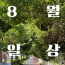 내각1로 99번길 29 | 8월 일상:좀 있으면 2026년임