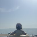 교직원콘도 | 아일랜드리솜 | 오아식스 선셋 스파 | S20 타워 콘도 이용후기 | 29개월 아기랑