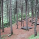 덕유산자연휴양림 이미지