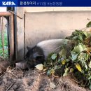 입동목장 이미지