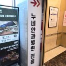 남양주 진접 누네안과병원 유아 안과검진 후기｜사시 의심으로 방문