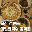 웰빙옹심이 | 울산 중구 성안동 들기름 막국수 옹심이 칼국수 맛집 옹막골
