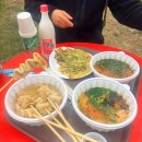 햇살가득동물병원 | 양산 원동 매화축제 다녀온 후기 주차 전쟁부터 응급실까지 스펙타클했던 하루