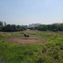 하우제주여행(주) | 제주 세화 뚜벅이 혼자여행 5일차(그리고세화 1호점, 트립백, 코난해변, 함덕해수욕장, 그옛맛, 공설...
