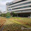 만안구청-13 이미지