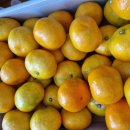 영현농장 이미지