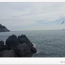 바구낚시 네이버블로그