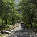 은서네 집밥 이미지