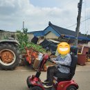 영암의료기 이미지