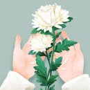 (유)익산팔봉장례식장 이미지