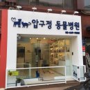 에버펫동물병원 이미지